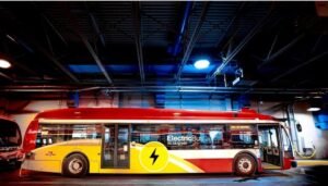 TTC Electric Buses